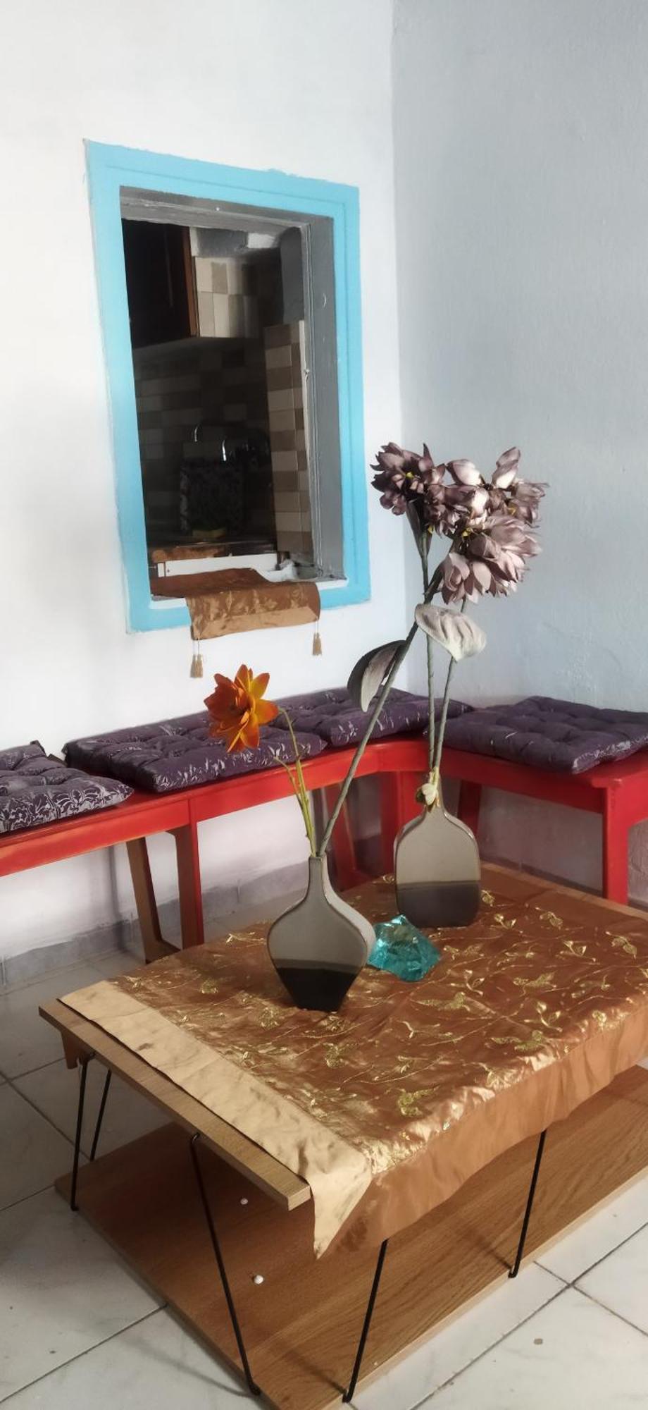 Cat House Apartment