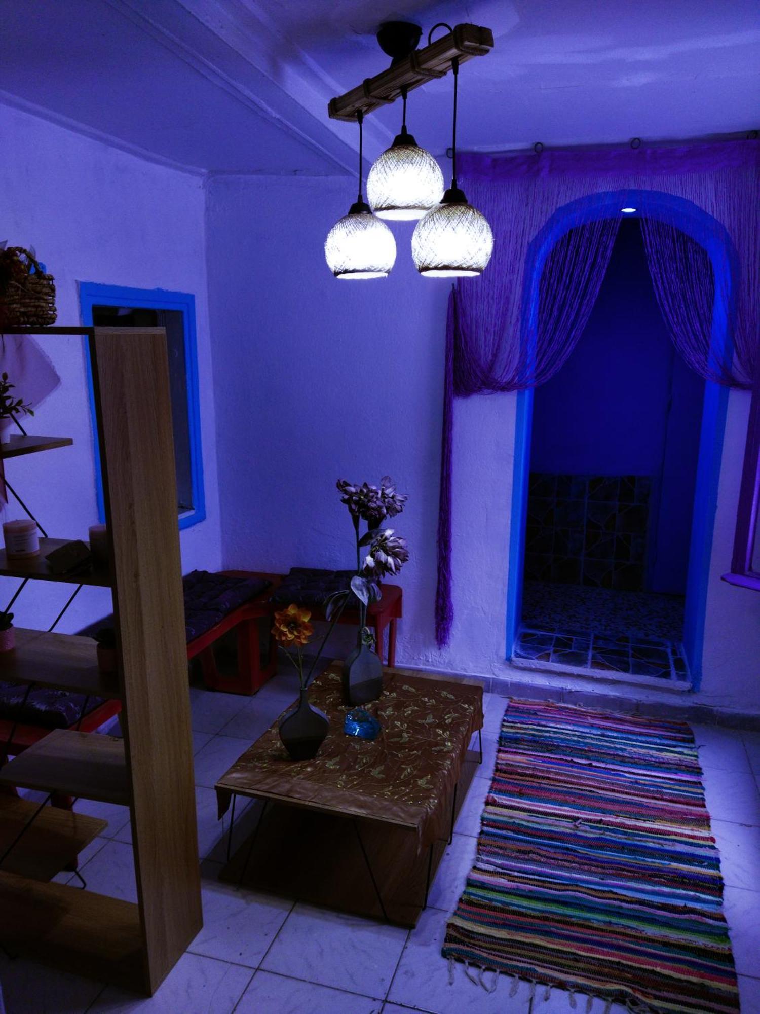 Cat House *